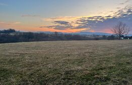 Teren intravilan -Horodnic de Jos- Oportunitate unica de investitie!