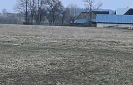 Teren intravilan -Horodnic de Jos- Oportunitate unica de investitie!