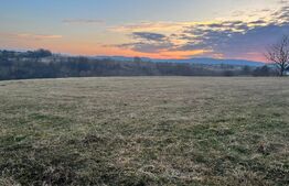 Teren intravilan -Horodnic de Jos- Oportunitate unica de investitie!