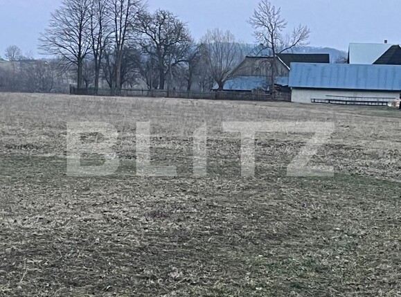 Teren de vânzare Horodnic - 137954TV | BLITZ Suceava | Poza4