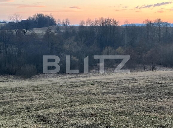 Teren de vânzare Horodnic - 137954TV | BLITZ Suceava | Poza2