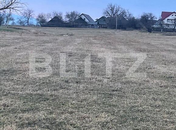 Teren de vânzare Horodnic - 137954TV | BLITZ Suceava | Poza5