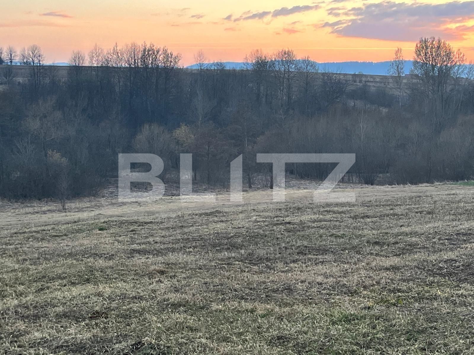 Teren de vânzare Horodnic - 137954TV | BLITZ Suceava | Poza6