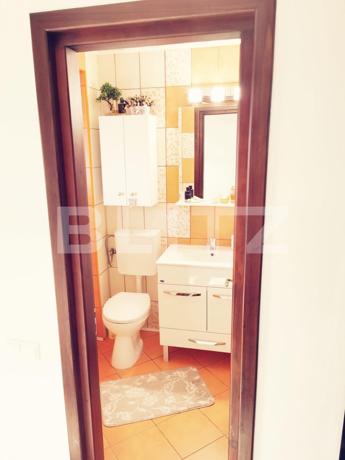 Casa de vânzare 4 camere Sfantu Ilie - 138002CV | BLITZ Suceava | Poza13