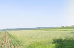 Teren 9400mp, 22ml deschidere, Dr. Mitocului