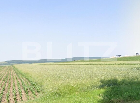 Teren de vânzare Mitocu Dragomirnei - 138082TV | BLITZ Suceava | Poza1