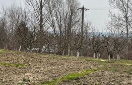 Casa individuala + Teren  4600 mp- Siret