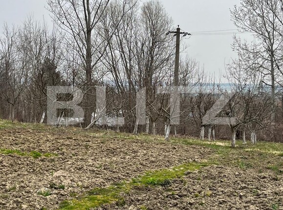 Casa de vânzare 4 camere Siret - 138208CV | BLITZ Suceava | Poza12