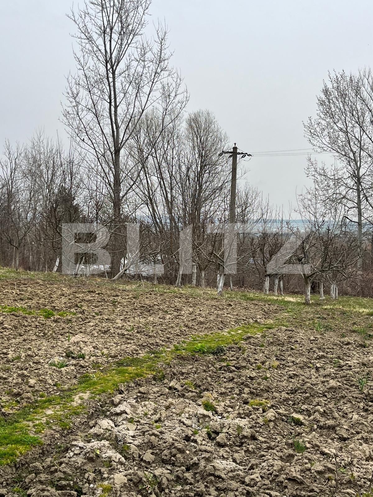 Casa de vânzare 4 camere Siret - 138208CV | BLITZ Suceava | Poza12