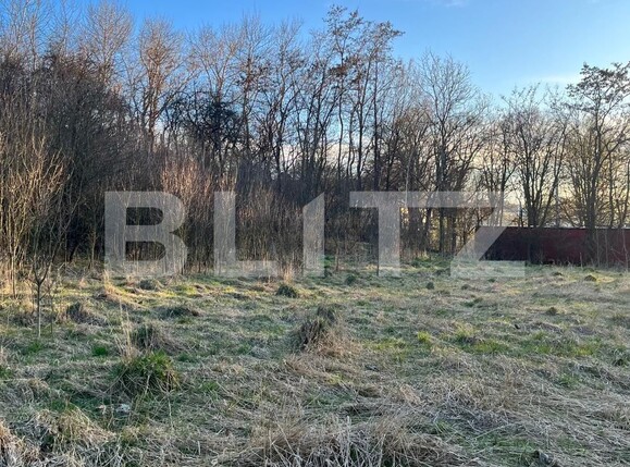 Casa de vânzare 3 camere Siret - 138231CV | BLITZ Suceava | Poza10