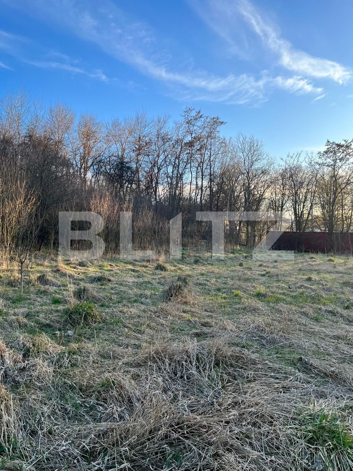 Casa de vânzare 3 camere Siret - 138231CV | BLITZ Suceava | Poza10