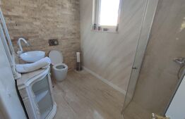 Ocazie! Doua case individuale în aceeasi curte în Radauti