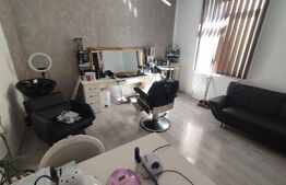 Ocazie! Doua case individuale în aceeasi curte în Radauti