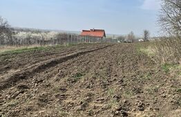 Casa individuala + Teren, zona  Dorohoi