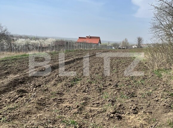 Casa de vânzare 2 camere Exterior Nord - 138290CV | BLITZ Suceava | Poza7