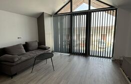 Birou si spatiu de depozitare de 25 mp, zona Scheia