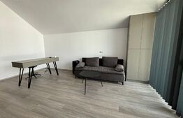 Birou si spatiu de depozitare de 25 mp, zona Scheia