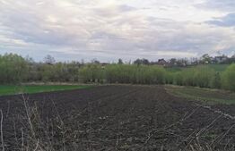 Casa individuala,110mp,cu 6500mp teren,loc.Beresti