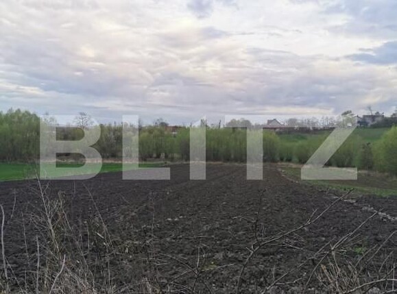 Casa de vânzare 2 camere Exterior Nord - 138526CV | BLITZ Suceava | Poza10