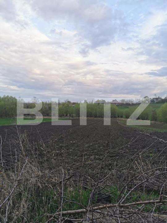 Casa de vânzare 2 camere Exterior Nord - 138526CV | BLITZ Suceava | Poza10