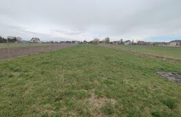 Casa individuala 4 camere, 200 mp, zona Horodnic