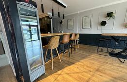  Afacere la cheie- Cafenea+ Terasa, 120 mp, zona Marginea