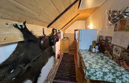 Casa batranesca , 70 mp utili, 3000 teren, complet renovata si utilata