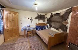 Casa batranesca , 70 mp utili, 3000 teren, complet renovata si utilata