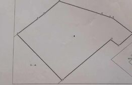 Casa batraneasca locuibila, 3819mp curte, zona Parhauti