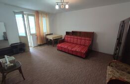 Apartament, 1 camera, 43 mp,  zona central Radauti