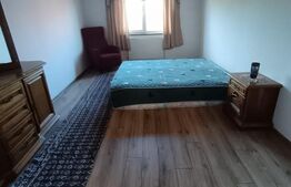1 casă 160mp + 1 casă 110mp + garaj, pe teren 9ari, 2 căi acces, zonă centrală