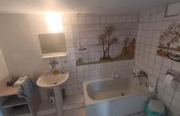 1 casă 160mp + 1 casă 110mp + garaj, pe teren 9ari, 2 căi acces, zonă centrală