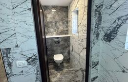 Cladire cu destinatii multiple, 200mp si hala de 200mp, zona Burdujeni