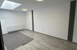 Cladire cu destinatii multiple, 200mp, zona Burdujeni