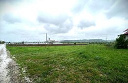 Teren intravilan , 10200 mp , zona Laniste Burdujeni