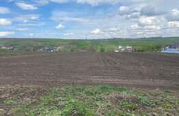 Teren Intravilan Moara , 5800mp