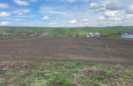 Teren Intravilan Moara , 5800mp