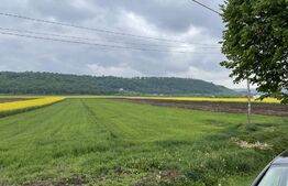 Teren extravilan, 8100mp, front 30 Mitocu Dragomirnei