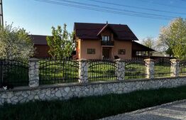 Casa individuala, 7 camere, 3600 mp,  in Zvoristea