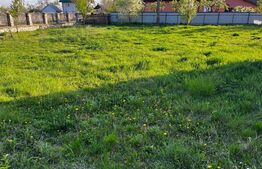 Casa individuala, 7 camere, 3600 mp,  in Zvoristea