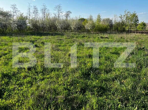 Casa de vânzare 5 camere Nord Est - 139404CV | BLITZ Suceava | Poza12