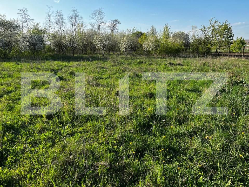 Casa de vânzare 5 camere Nord Est - 139404CV | BLITZ Suceava | Poza12
