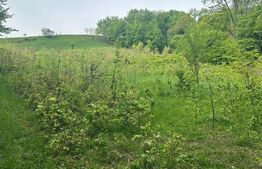 Teren langa padure, 7500mp, Calafindesti