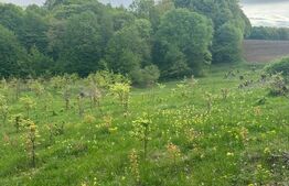 Teren langa padure, 7500mp, Calafindesti