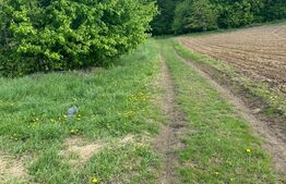 Teren langa padure, 7500mp, Calafindesti