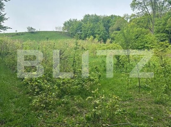 Teren de vânzare Calafindesti - 139445TV | BLITZ Suceava | Poza6