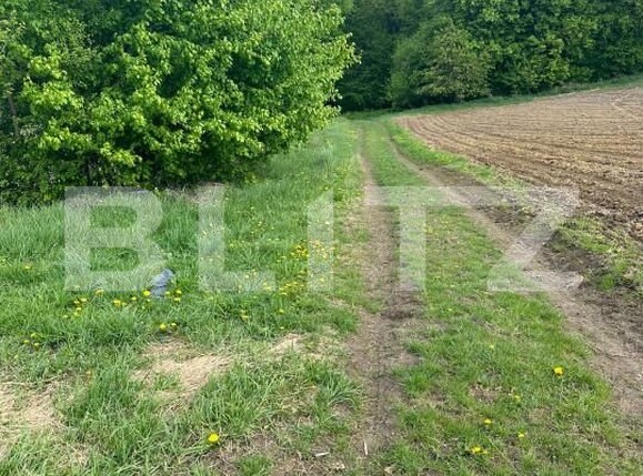 Teren de vânzare Calafindesti - 139445TV | BLITZ Suceava | Poza3