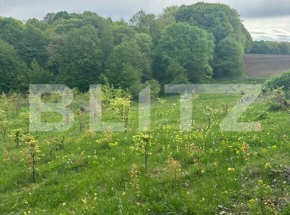 Teren de vânzare Calafindesti - 139445TV | BLITZ Suceava | Poza4