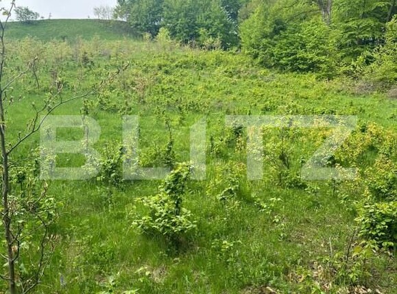 Teren de vânzare Calafindesti - 139445TV | BLITZ Suceava | Poza1