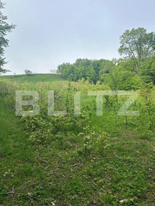 Teren de vânzare Calafindesti - 139445TV | BLITZ Suceava | Poza6